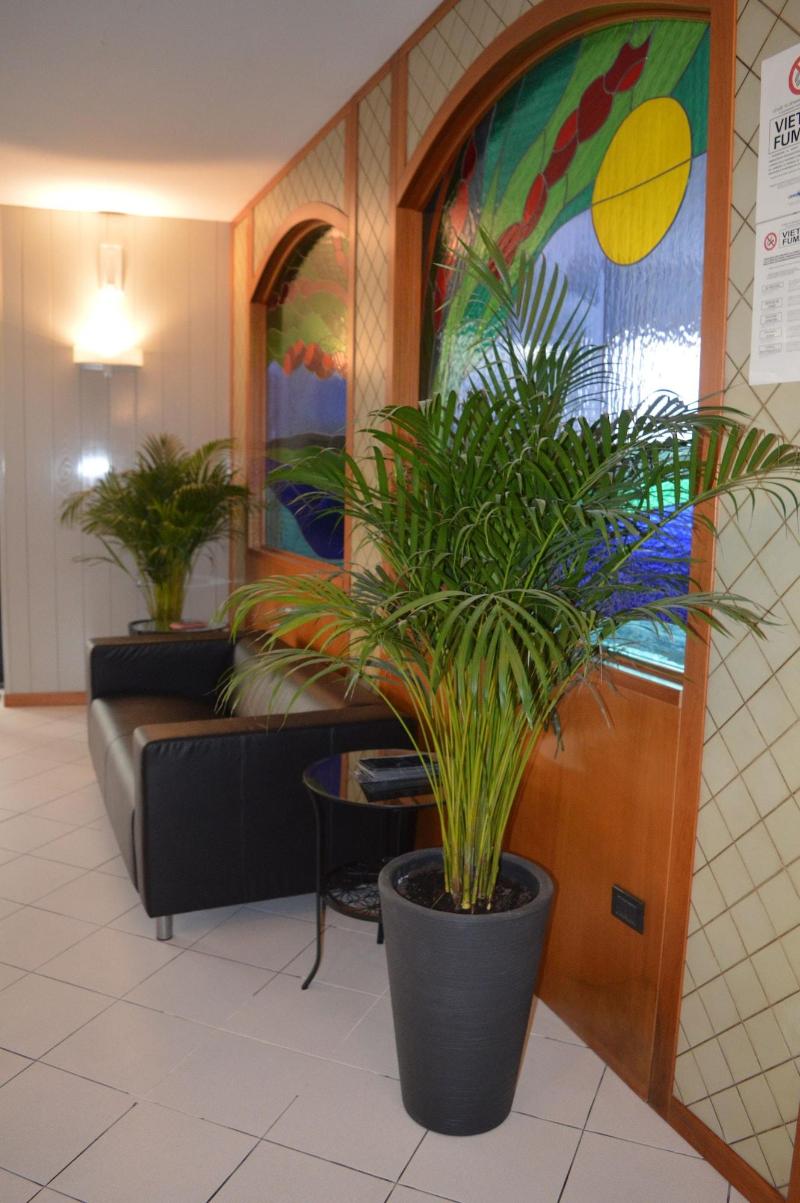Hotel Gilda image