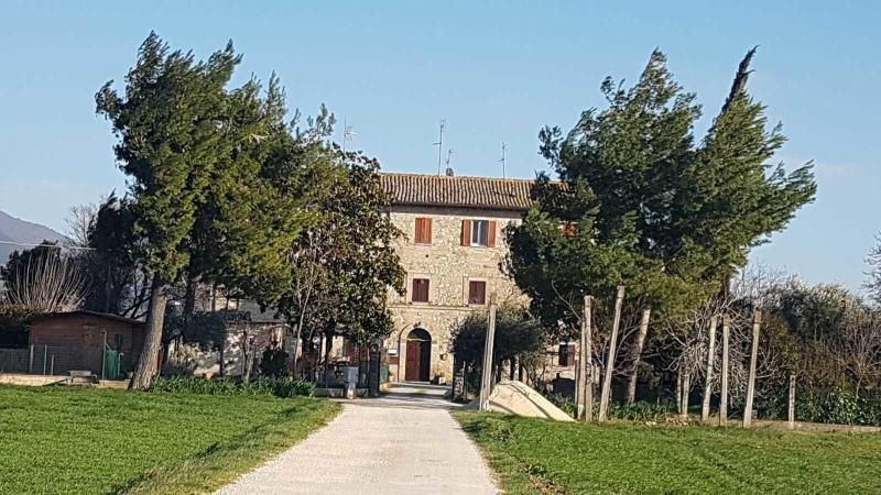 Camere Rosignoli image