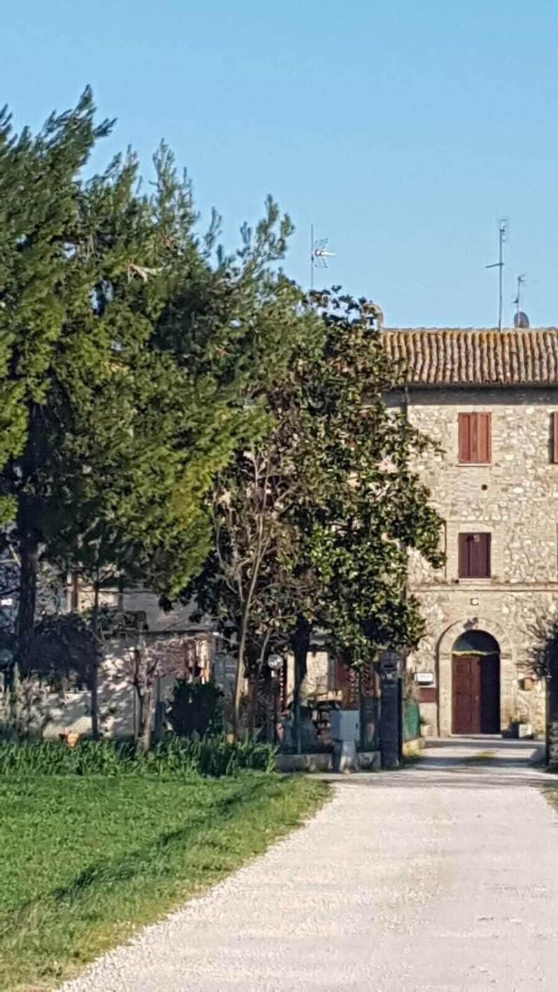 Camere Rosignoli image