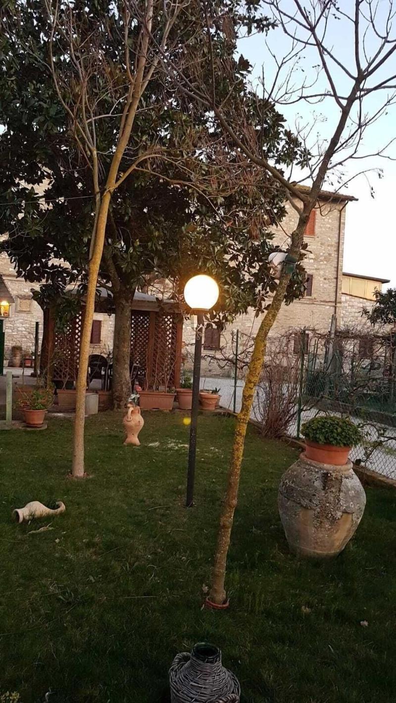 Camere Rosignoli image