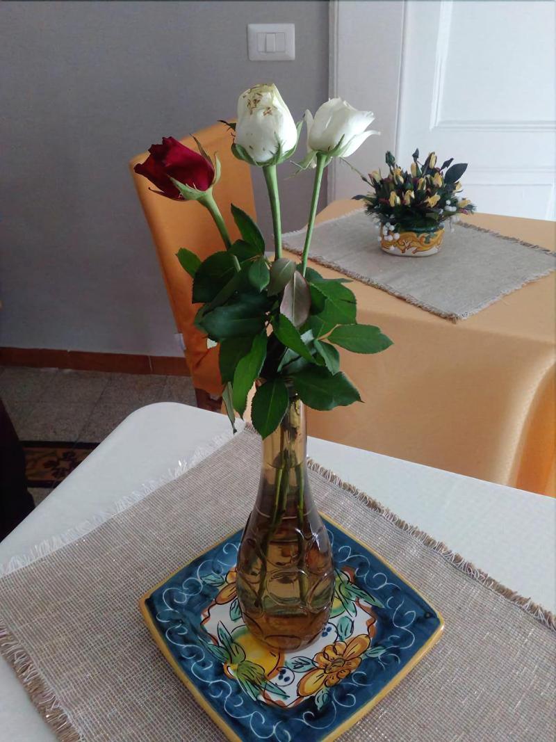 B&B Amore image