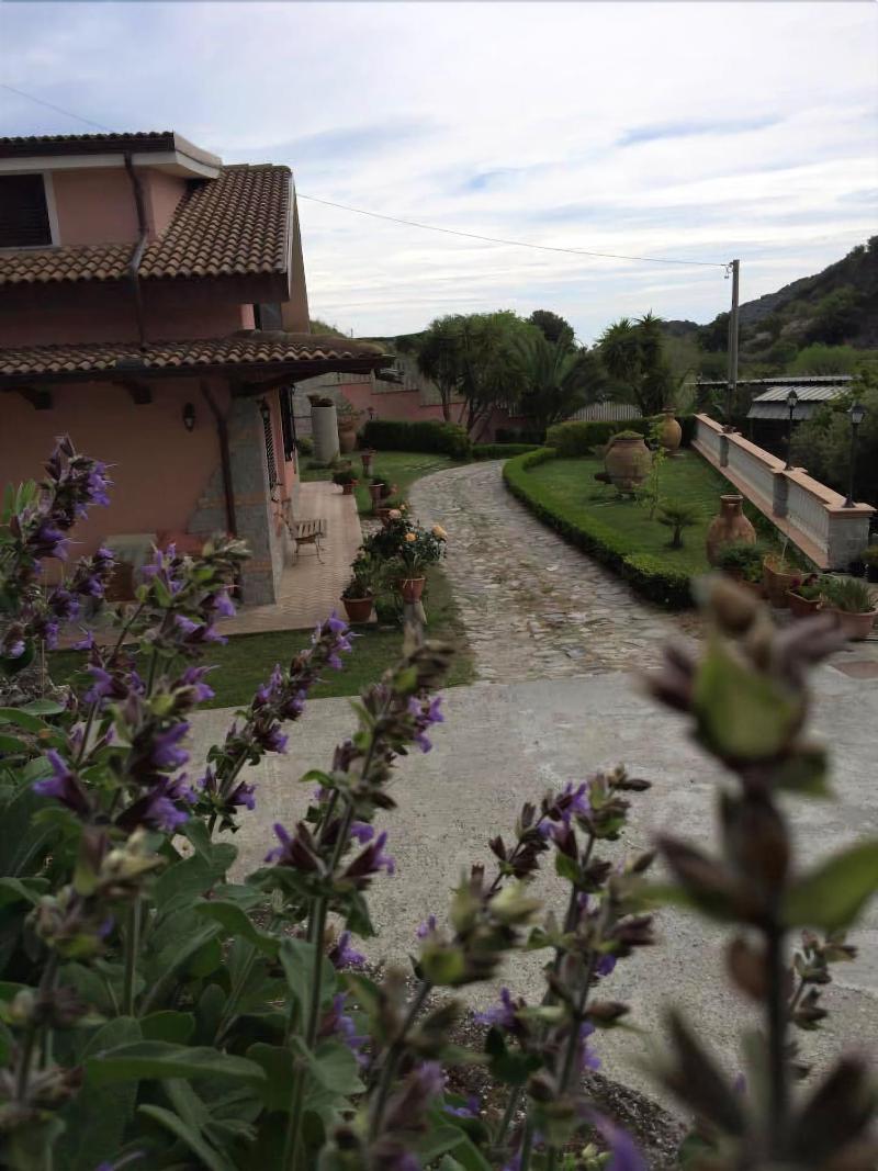 L'Orto Degli Ulivi — photo 5