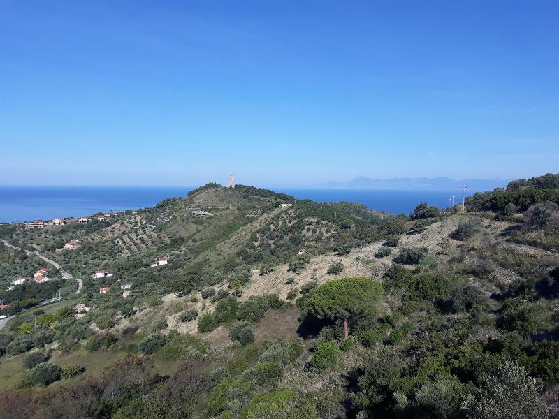 Tenuta Santa Caterina image