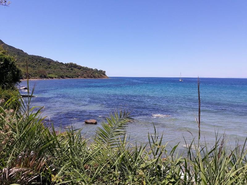 Tenuta Santa Caterina image