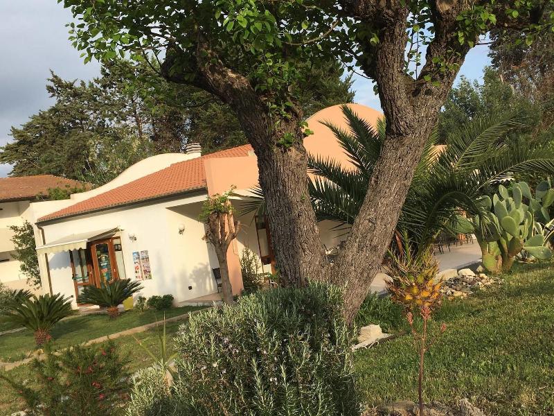 B&B Alex image