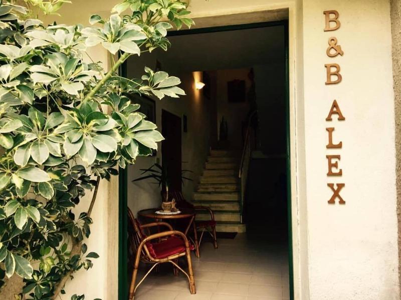 B&B Alex image