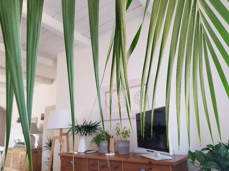 Azzurro B&B image