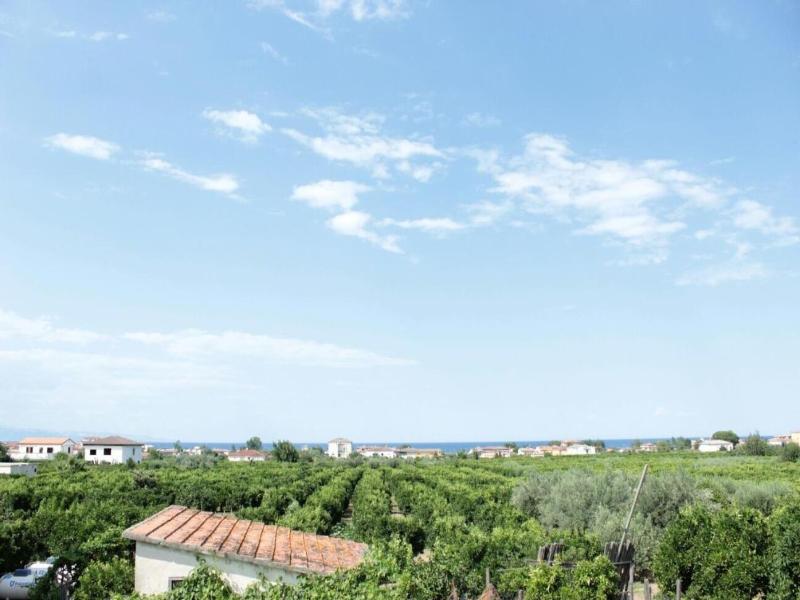Profumo Di Zagara image