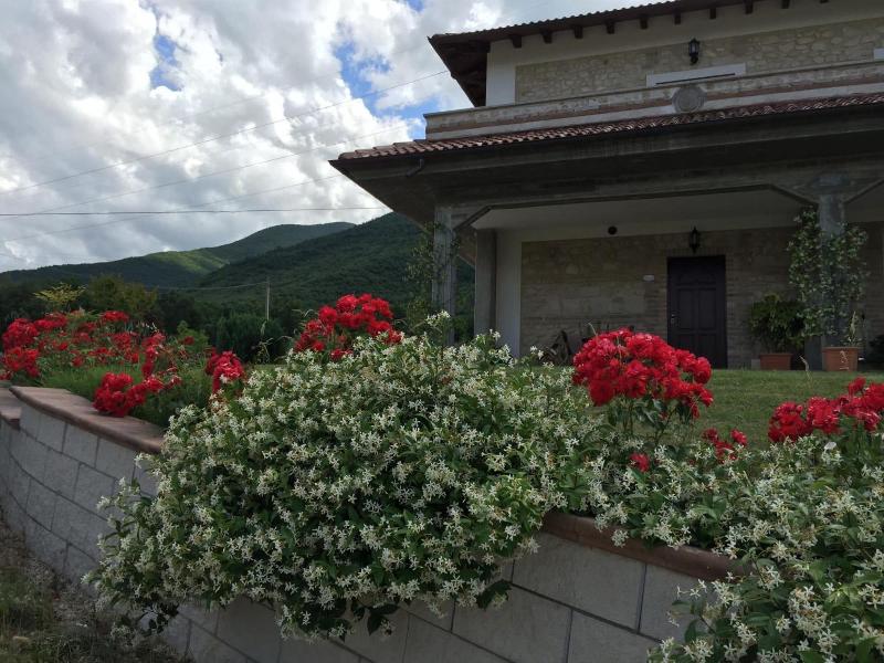 Il Poggio Dei Pettirossi image