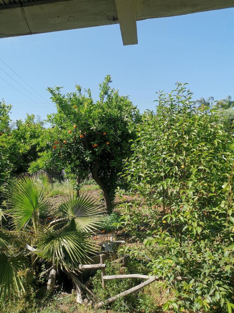 La Fattoria dei Nonni Resort dell'Etna image