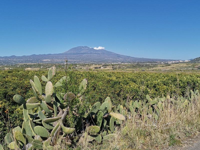 La Fattoria dei Nonni Resort dell'Etna image