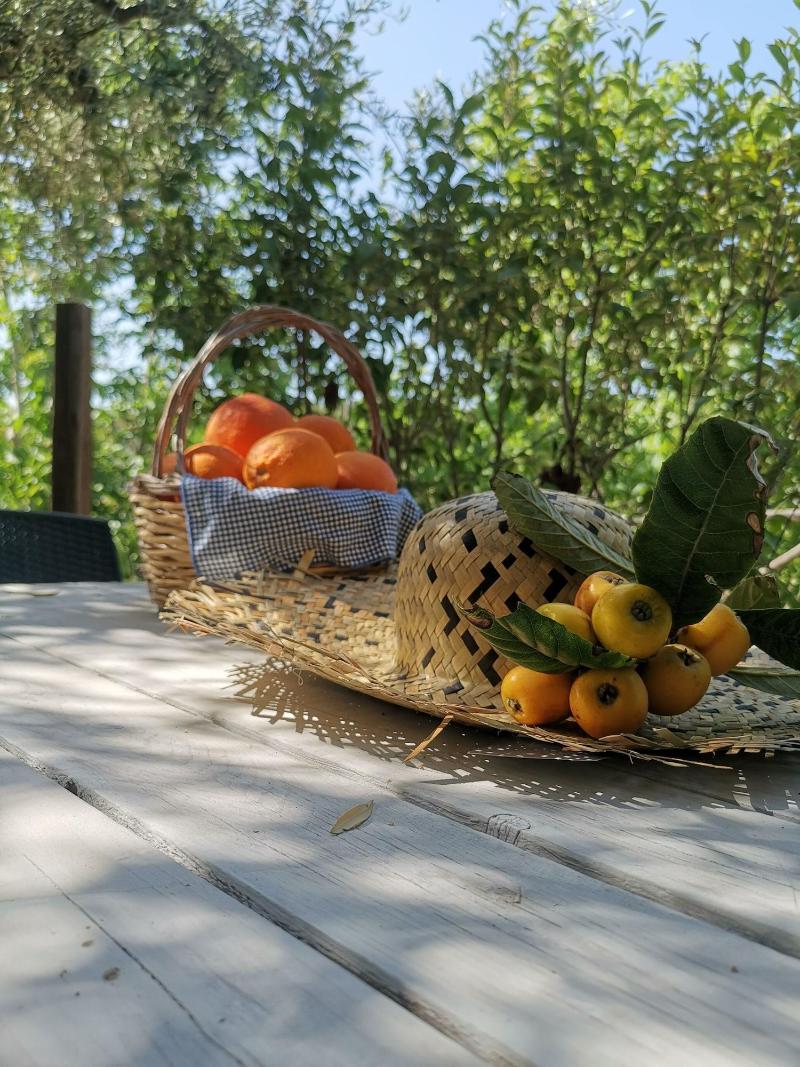 La Fattoria dei Nonni Resort dell'Etna image