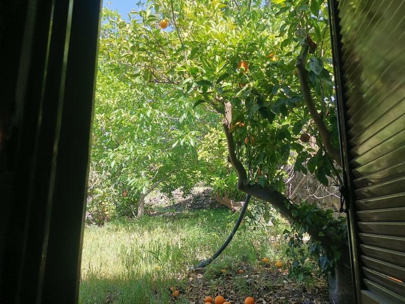 La Fattoria dei Nonni Resort dell'Etna image