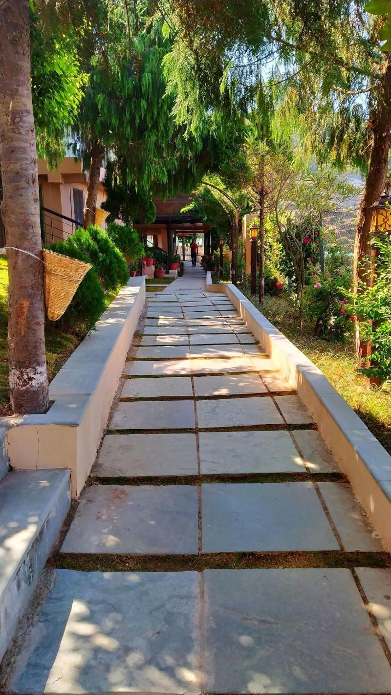 Larisa Resort, Mussoorie — photo 52