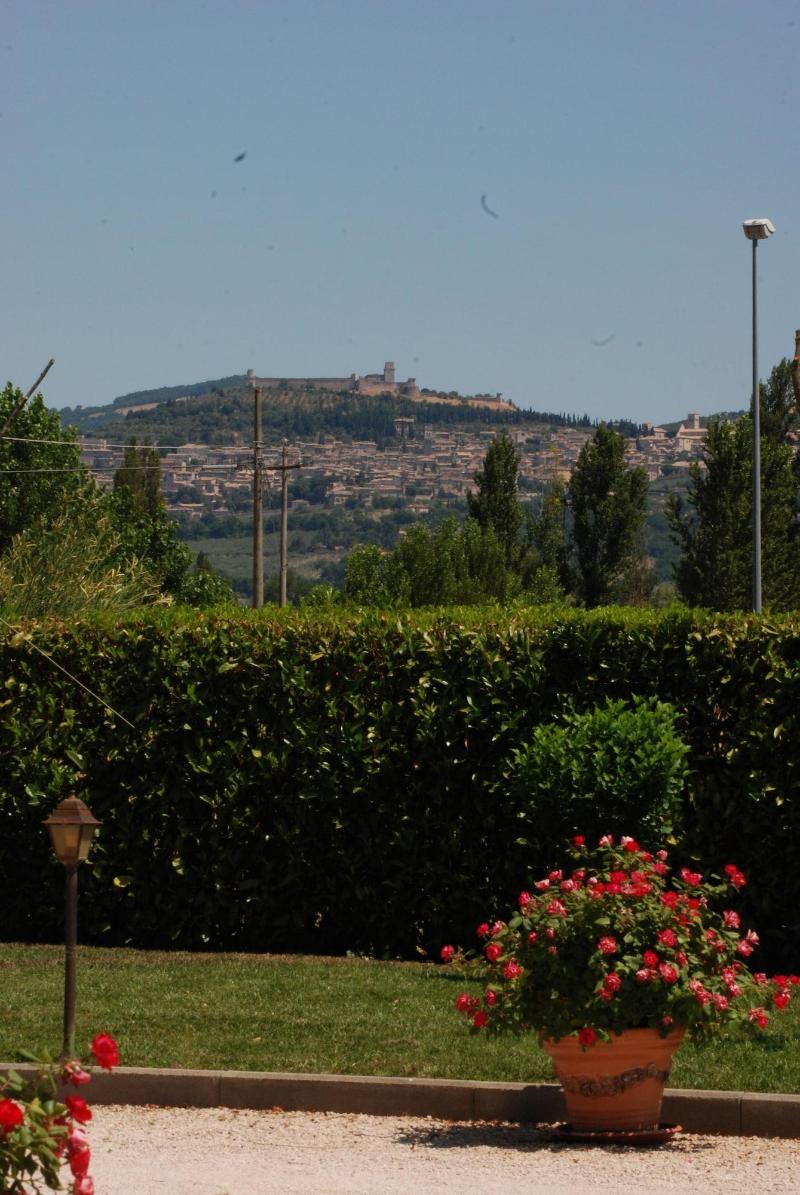 Il Sagrato Di Assisi image