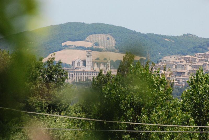 Il Sagrato Di Assisi image