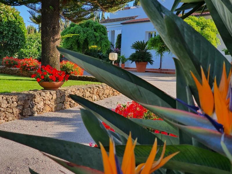 Arenosu A Pochi Km Dalle Spiagge image