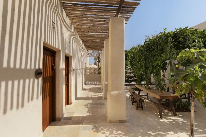 Kedma image