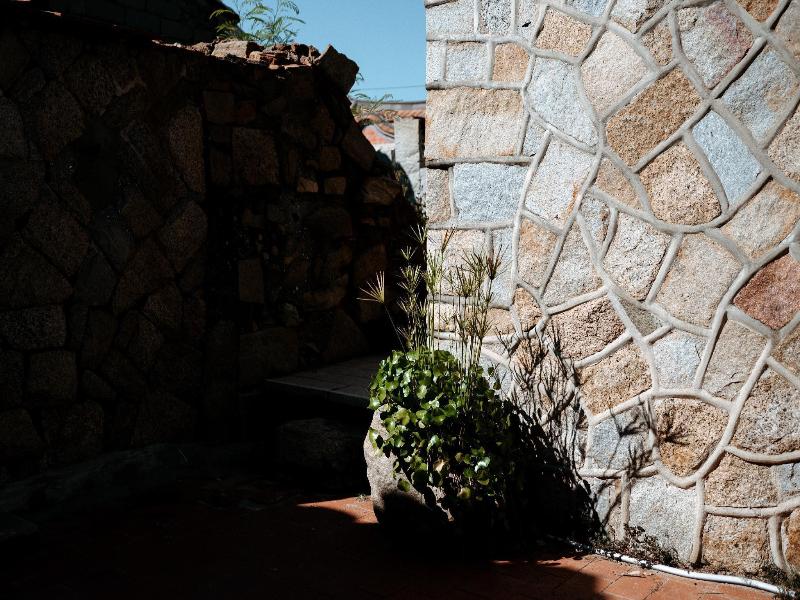 Live Guest House — photo 8