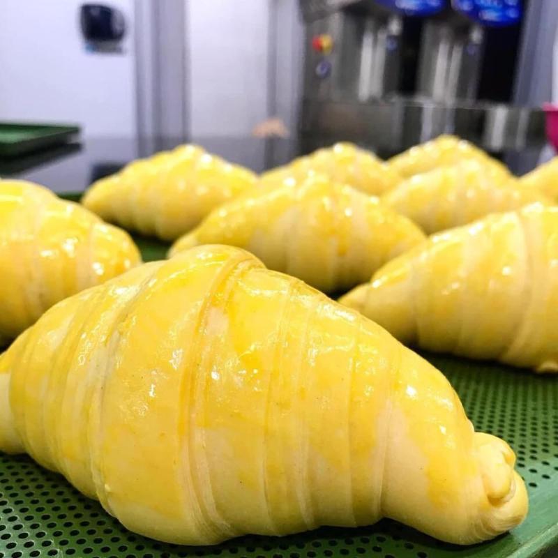 B&B Teresa Masselli San Severo image