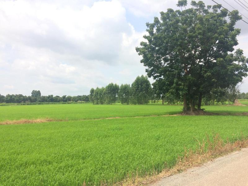 Tai Baan Resort — general view