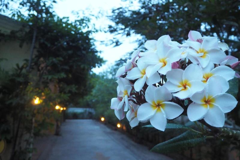 Tai Baan Resort — exterior view