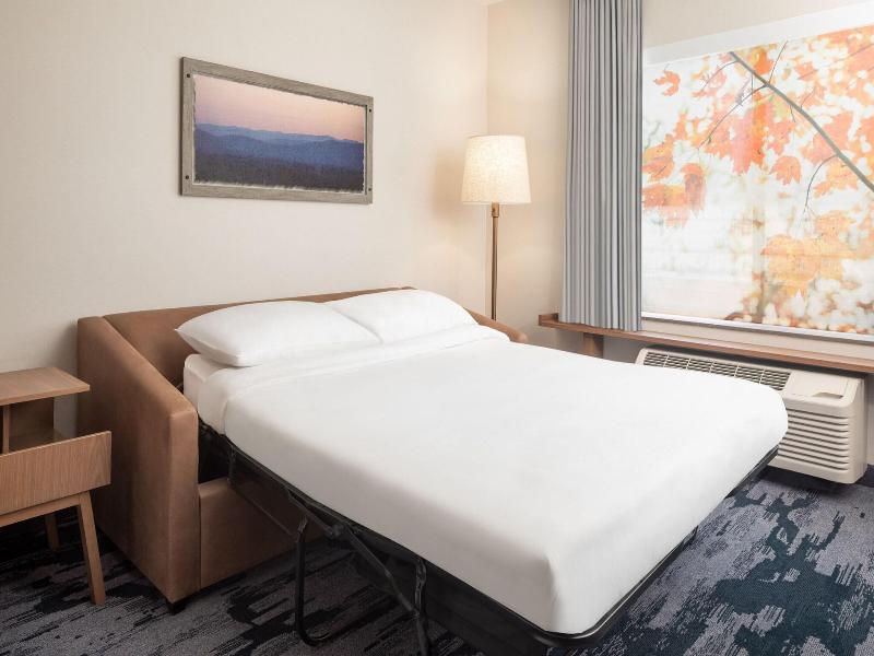 Suite, 1 Bedroom (Mobility/Hearing Accessible, Tub) (1 King Bed and 1 Double Sofa Bed)