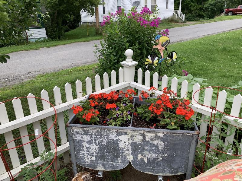 Freedom House B&B image