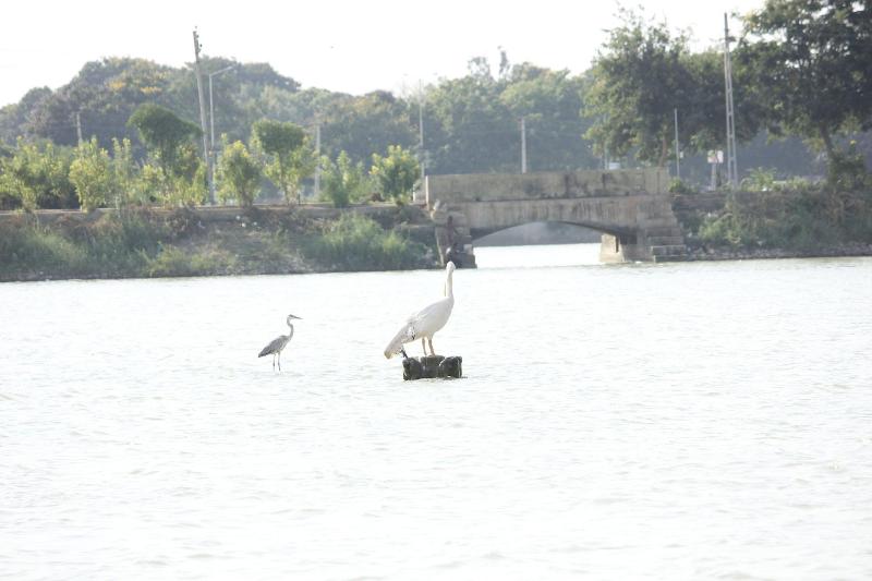 Hotel Shiv Lake — photo 2