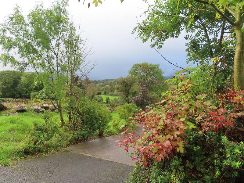 Bluebell House — photo 3
