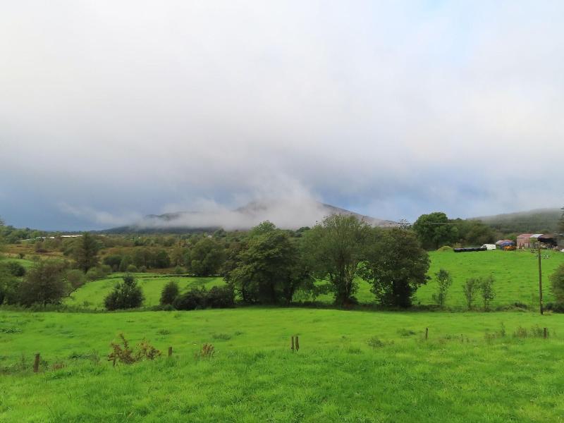 Bluebell House — photo 4