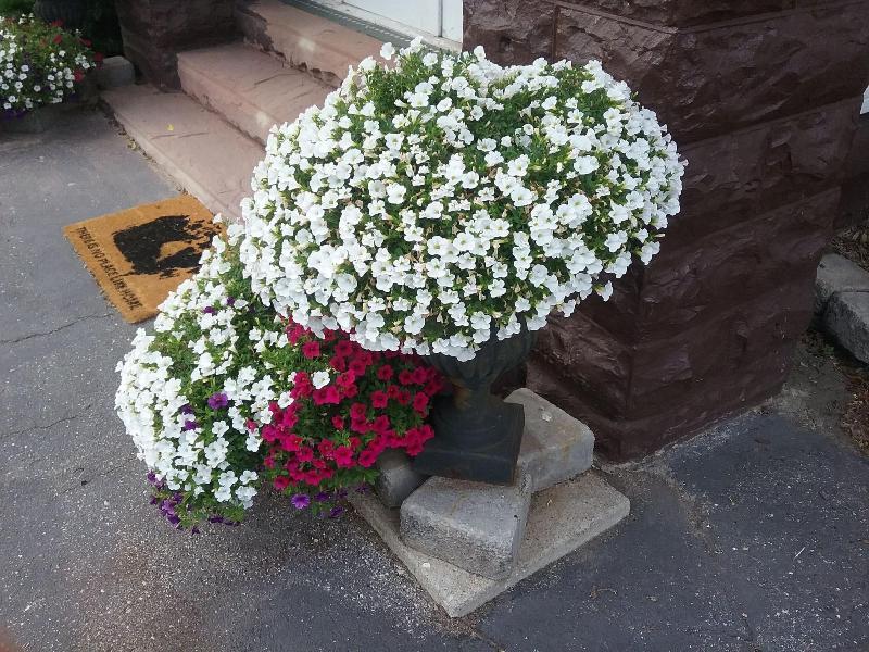 Caledonia House B&B — photo 4