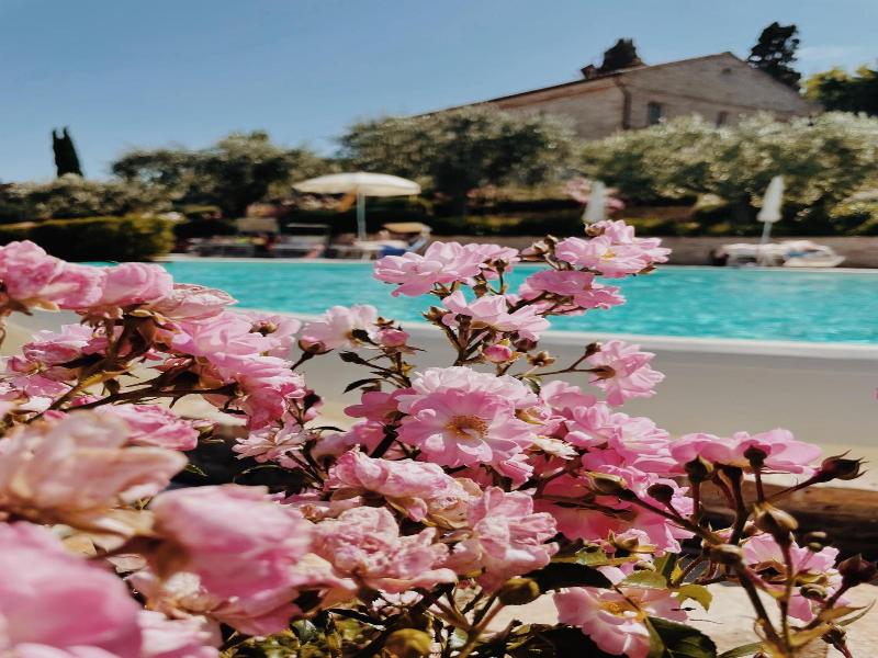 Pamperduto Country Resort image