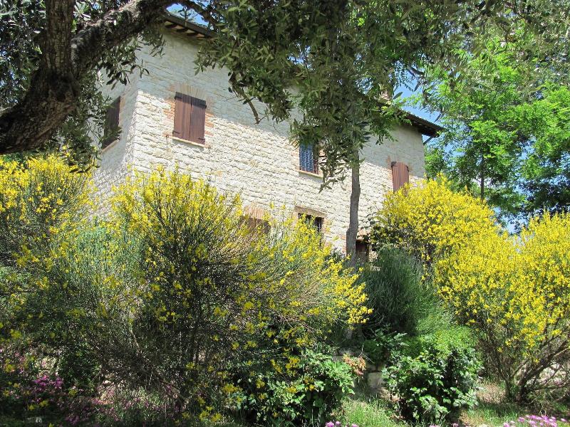 Old House — photo 3