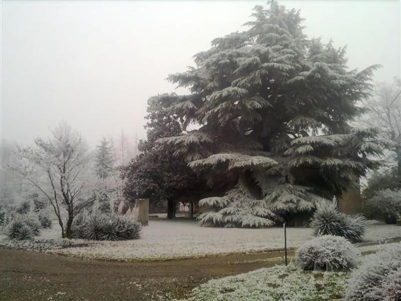 Albergo Villa & Roma image