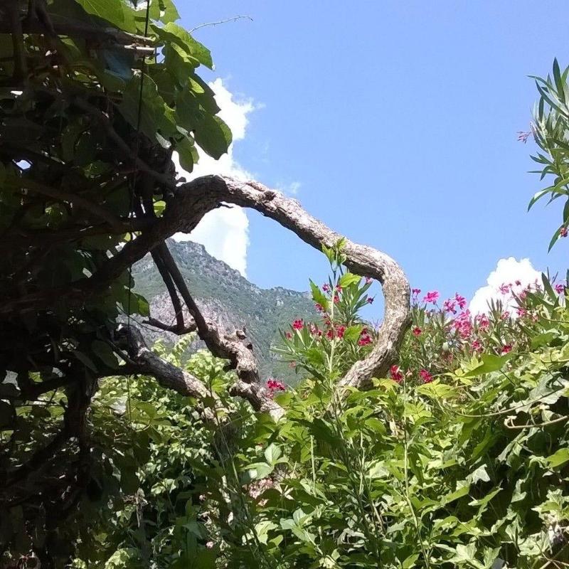 Hotel Sangalli image