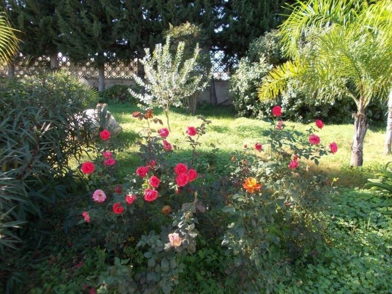 Verdeoliva Bed & Breakfast image