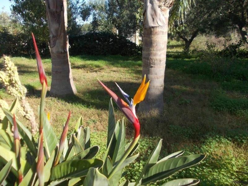 Verdeoliva Bed & Breakfast image