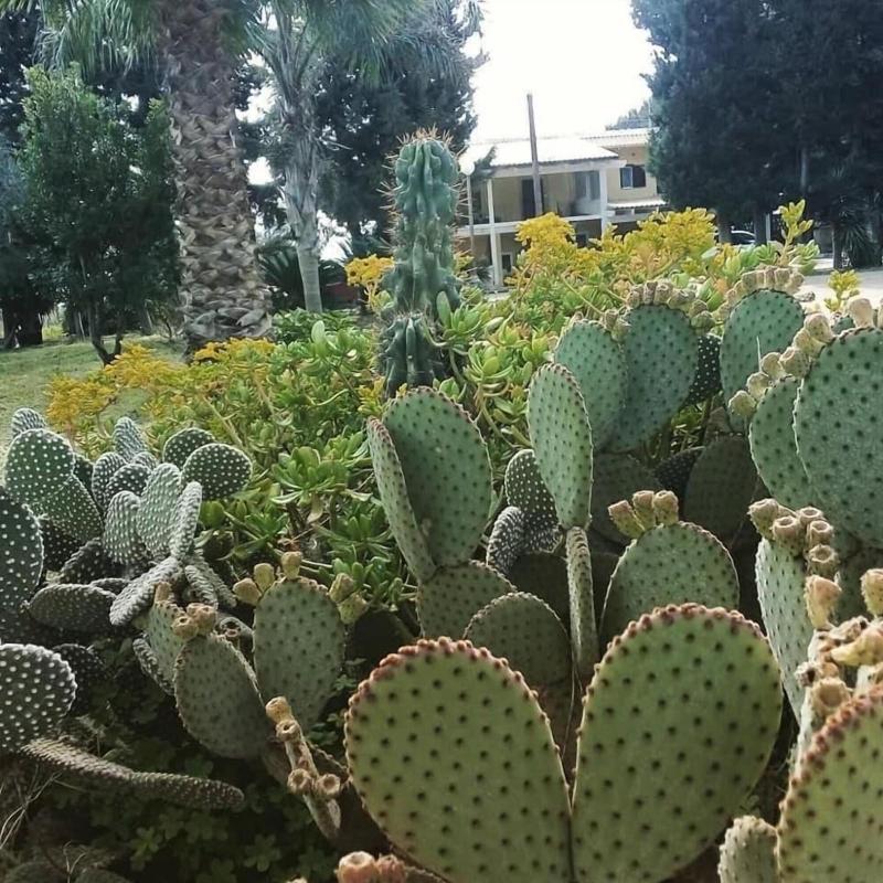 Verdeoliva Bed & Breakfast image