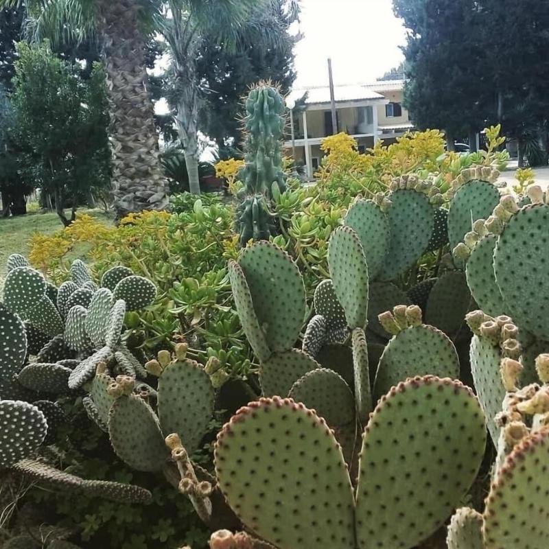 Verdeoliva Bed & Breakfast image