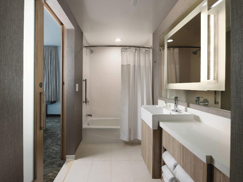Springhill Suites By Marriott Dallas Dfw Airport S image