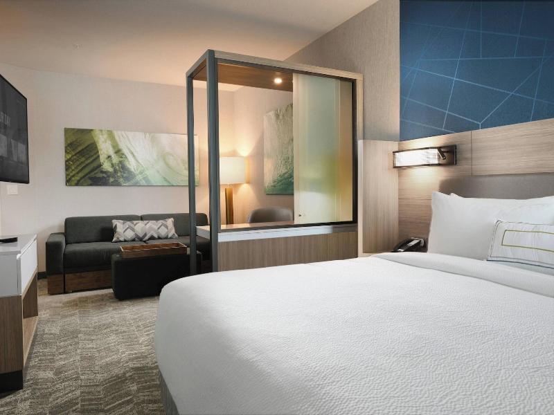 Springhill Suites By Marriott Dallas Dfw Airport S image