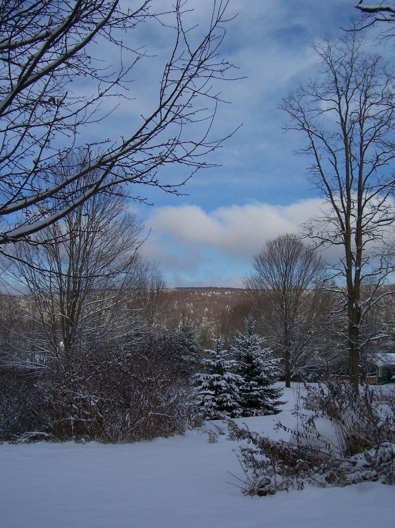 Copper Kettle B&B — photo 4