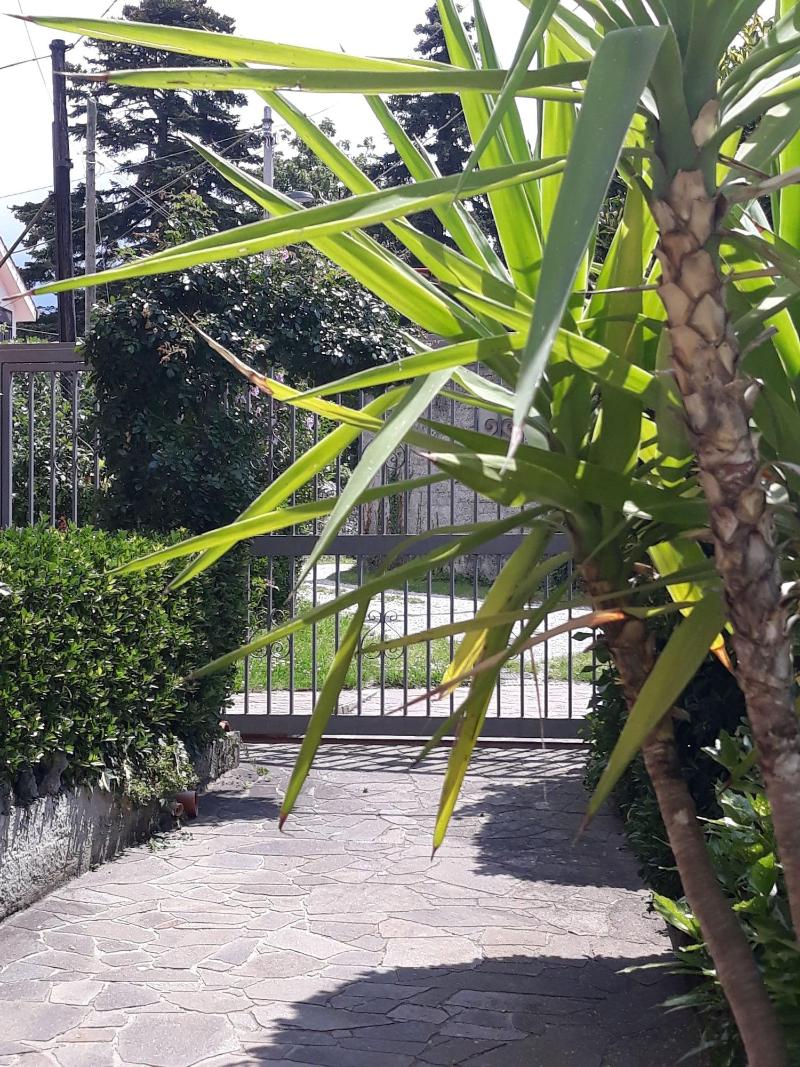Bed & Breakfast Al Laghetto image