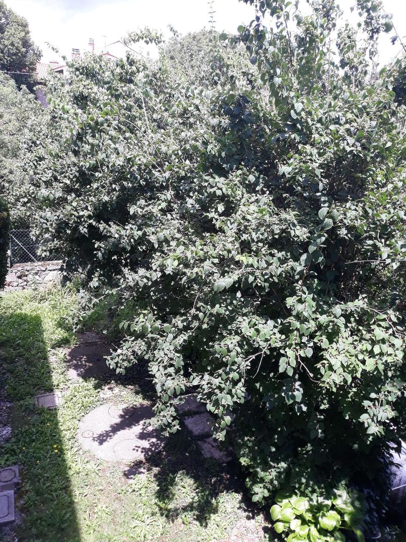 Bed & Breakfast Al Laghetto image