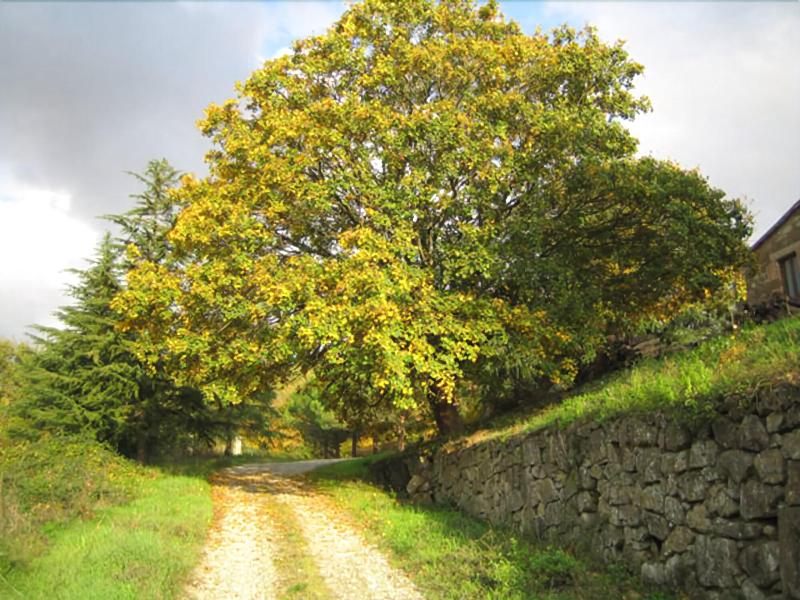 Le Roghete image