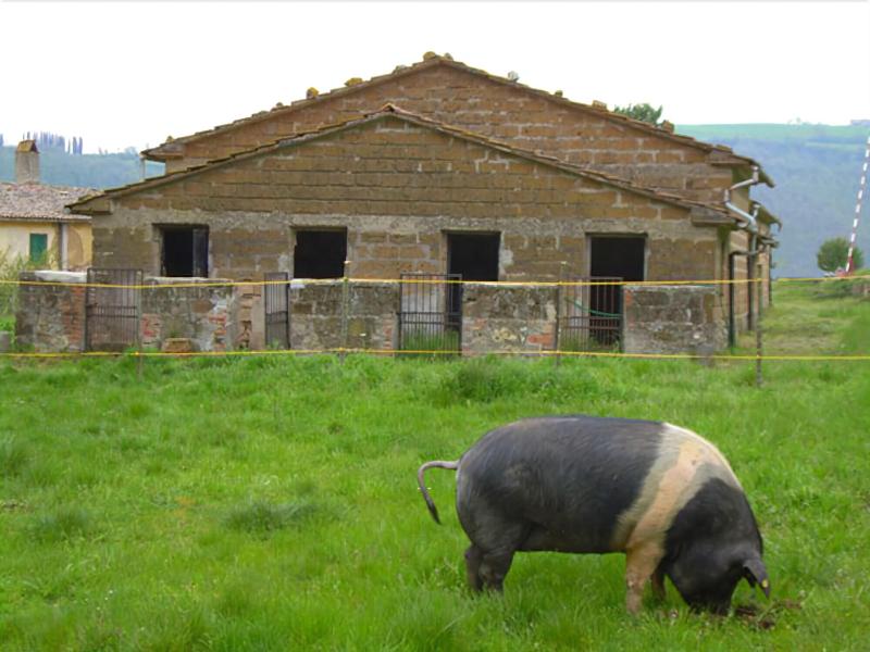 Le Roghete image