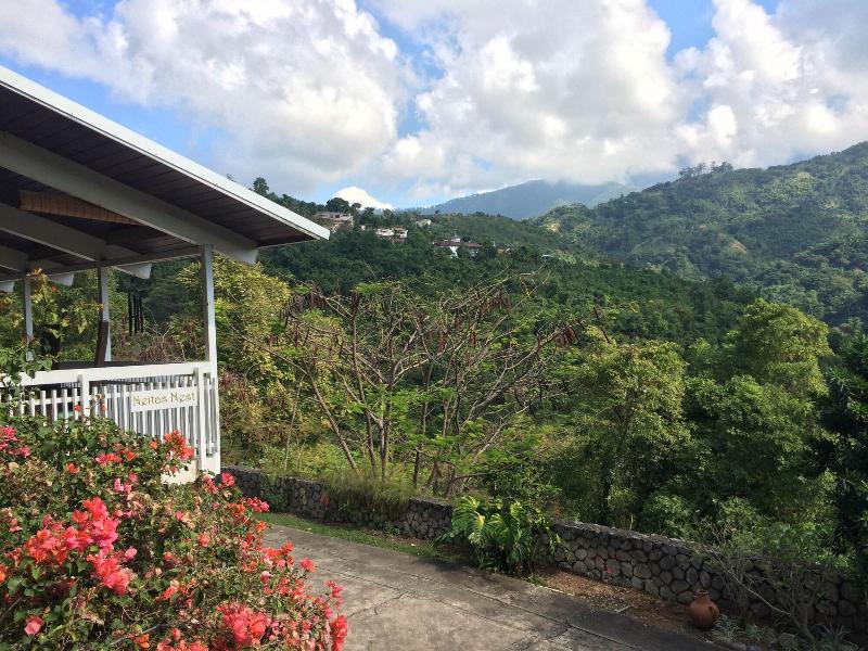 Neita's Nest - Jamaican Bed & Breakfast image
