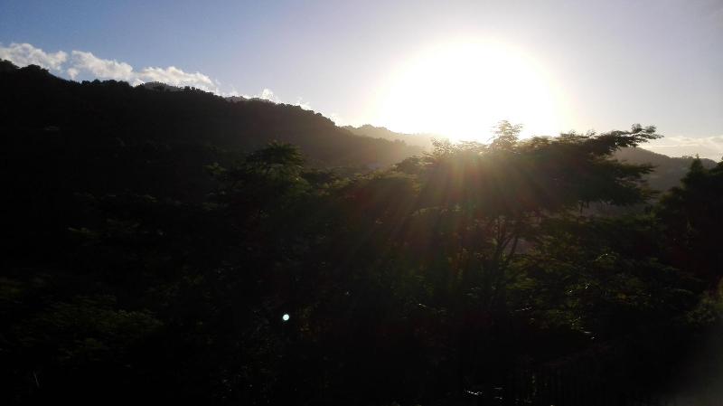 Neita's Nest - Jamaican Bed & Breakfast image