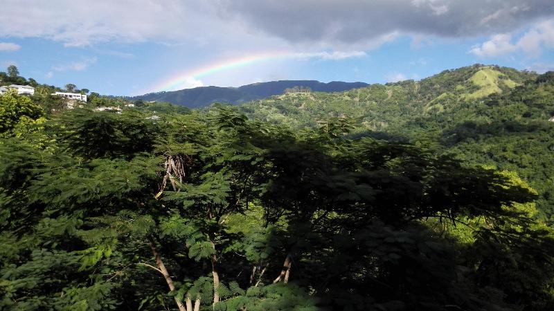Neita's Nest - Jamaican Bed & Breakfast image